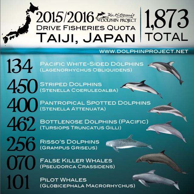 2015/2016 Taiji Dolphin Quota